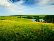 Продам земельные участки в районе с. Маганск 10 000 руб./сотка!