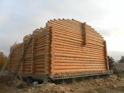 продаю сруб дома