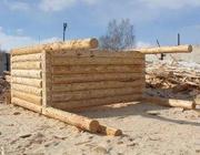Срубы,  дома,  бани из окоренного бревна и бруса недорого