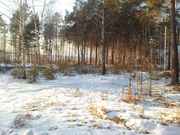 Продается участок. Сад-во Оптимист. 