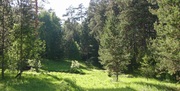 Курганово