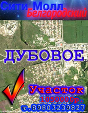 Участок в Дубовом Ново-Дубовской р-он