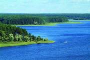 Участок/ Новгородская область,  Полново