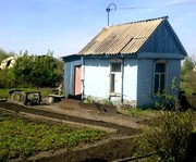Продам дачу по Пушкинскому тракту