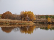 Продаю пруд 2, 7 Га в Татищевском районе