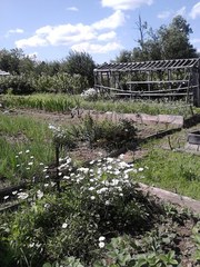 Продам дом+зу,  с. Люкшудья,  ул. Полевая