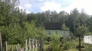 Дачный участок 9 сот, дача, Тульская обл., Ленинский р., д.Занино, продаю срочно
