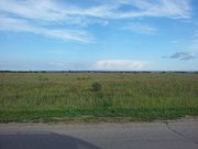 Продаю участок в с. Нижняя Солонцовка.
