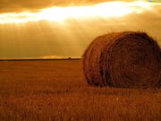 Продам земельный участок сельхозназначения