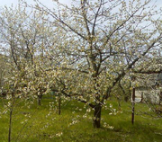 Продажа. Земельный участок. г. Самара,  Октябрьский р-н...