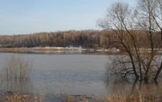 садоводческое товарищество 