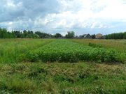 продается земельный участок (20 сот.) на берегу Горьковского водохранил