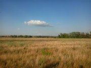 Как заработать 75 миллионов рублей за 18 месяцев