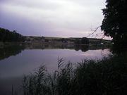 продаю пруды в пригороде Саратова