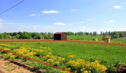 Продаю участок15соток для постоянного места жительства в жилой деревне