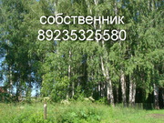 Продам участок под строительство дачи.Расположен в березовой роще, в СН