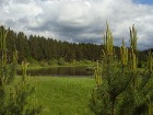 земельный участок на берегу Тверцы,  под ИЖС,  земли поселения,  собствен